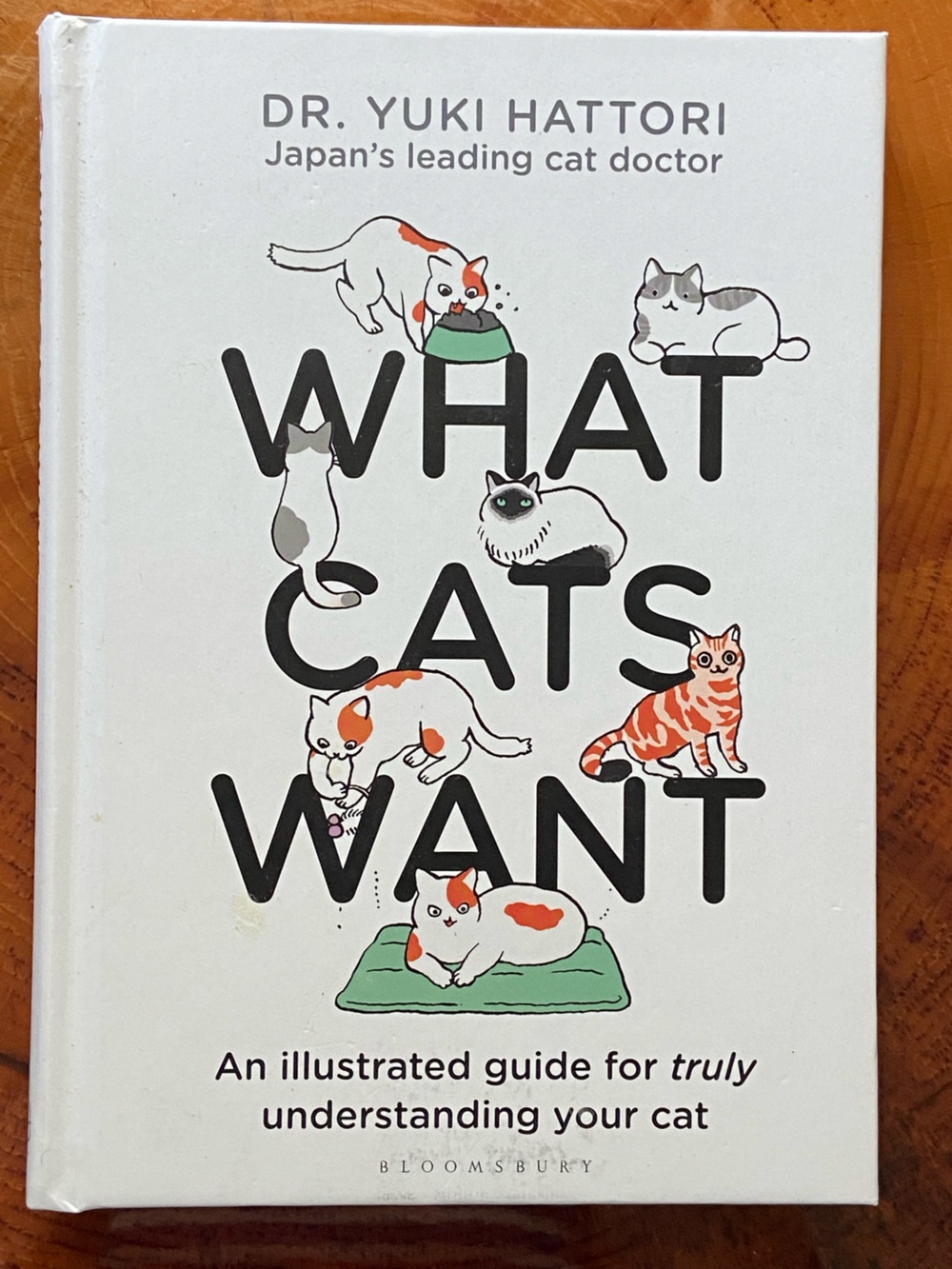 WHAT CATS WANT Book Dr. Yaki Hattori Japan Illustrated Guide to Understanding
